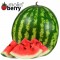 Big Watermelon (Molinberry)