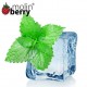 Ice Mint (Molinberry)
