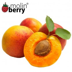 Nectar Peach (Molinberry)