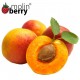 Nectar Peach (Molinberry)