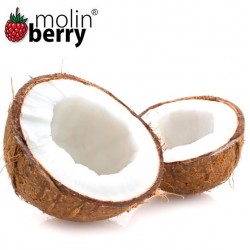 Palm Coconut (Molinberry)