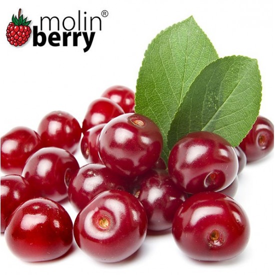 Red Cherry (Molinberry)
