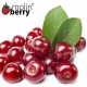 Red Cherry (Molinberry)