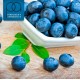 Blueberry Wild (The Perfumers Apprentice)