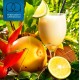 Pina Colada (The Perfumers Apprentice)